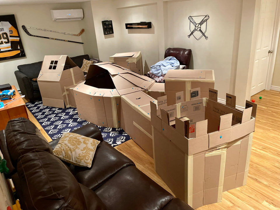 Team Brothers Box Fort