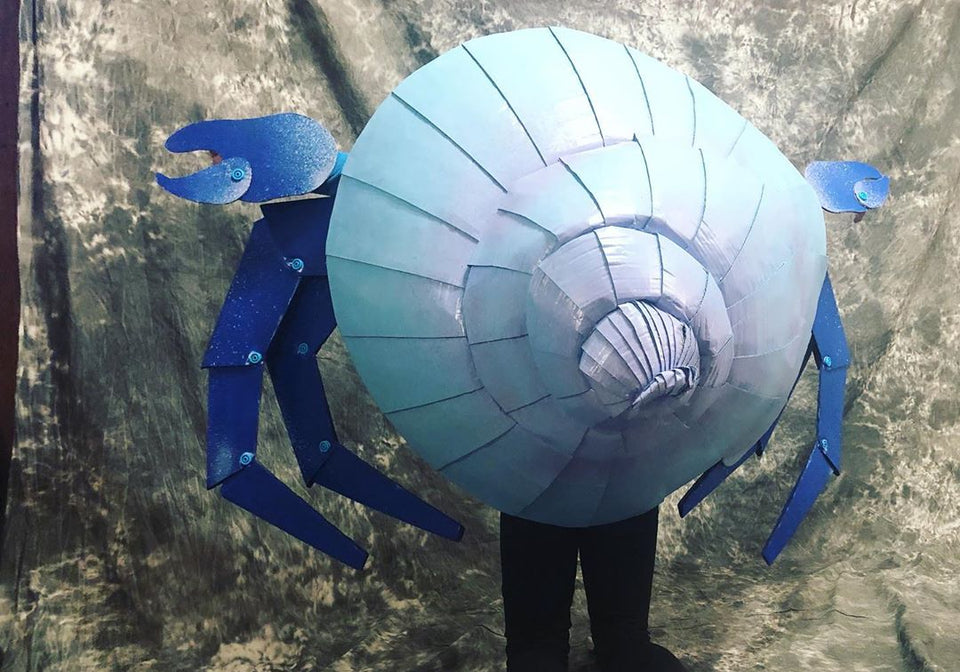 Hermit Crab Costume